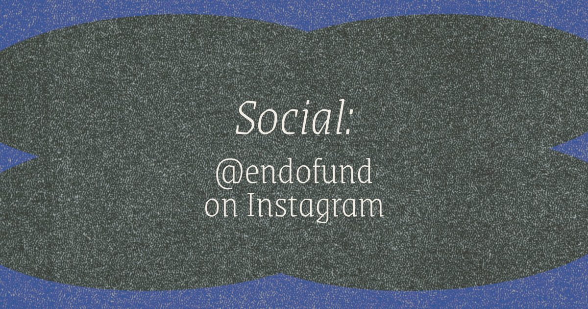Social - endofund on Instagram
